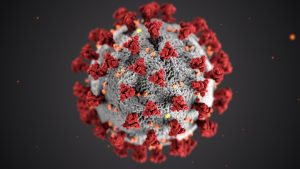 Read more about the article Four new types of coronavirus cases appeared in Spain as well