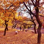 Gilgit Baltistan Beautiful Places in the Autumn season
